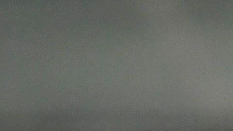 Cruz Azul es el campeón de los buscadores.