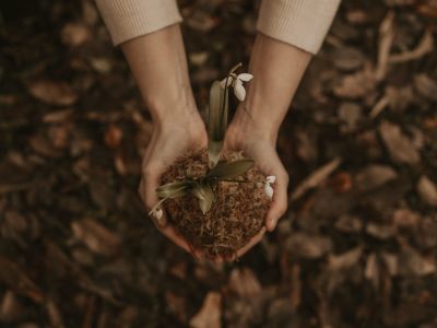 Los 7 consejos básicos de jardinería por expertos cuando eres primerizo