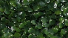 Kris Jenner le hace un regalo a su hija Kim Kardashian por su cumpleaños número 40 y no le costó ni un centavo. Le escribió una carta de 20 páginas.