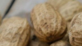 Maní-cacahuates-shattha pilabut en Pexels