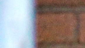 La curva de decesos asociados con complicaciones con el COVID-19 ha bajado significativamente. (Foto: EFE)