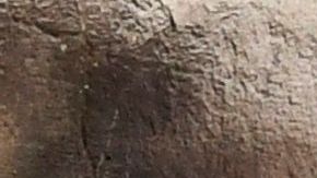 Familiares de pacientes con COVID-19 esperan información afuera de un hospital de Ciudad de México.