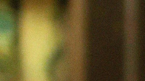 El nuevo disco de Natalia Lafourcade incluye 14 temas. Foto: Manuel Zúñiga