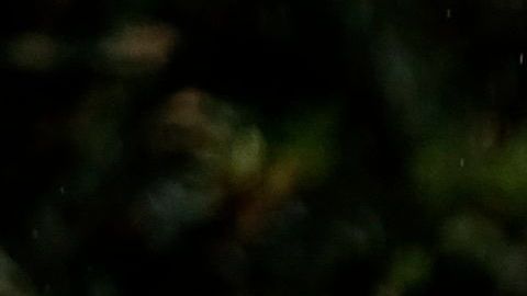 Un trabajador retira desechos de un hospital en Managua.