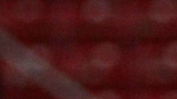 Las jugadoras participaron en Exatlón Estados Unidos.