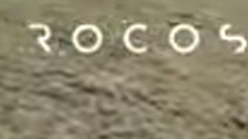 Perro robot cuida ovejas