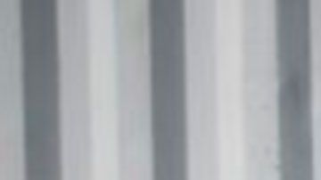 Perro robot patrulla calles