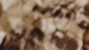 Foto: NastyaSensei/Pexels