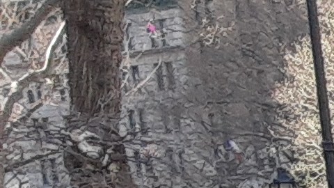 La crisis del COVID-19 regresó a la boricua Ronna Love a vivir en las calles.