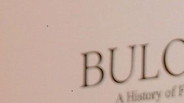 Sebastián Yatra tiene siete perros como mascotas.