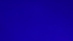 Slash es amante de las víboras desde pequeño.