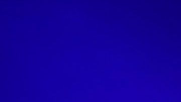 Slash es amante de las víboras desde pequeño.