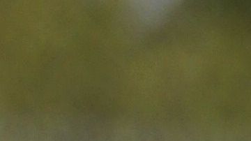 Sylvia Torres recibirá una cesta de frutas y vegetales como regalo de Día de la Madre. (Cortesía Sergio López/Catholic Relief Services)