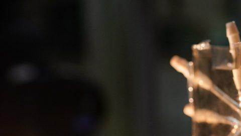 El método LIFT se ha probado con éxito en ratas y el próximo paso es probarlo con cerdos, que disponen de unos pulmones de mayor tamaño