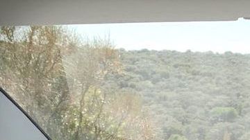 Interior del Tesla Model 3.
Crédito: Cortesía Tesla.