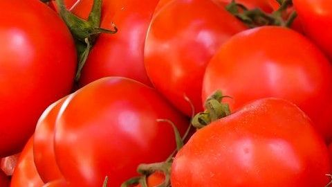 Tomates
