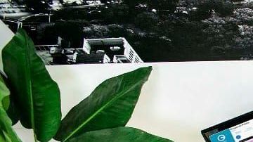 Trabajar desde casa producirá cambios a la legislación laboral en México.