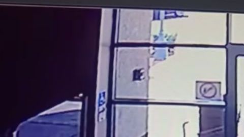 VIDEO: Buscan a hispano por golpear con tubo a abuelita para robarle una pizza