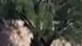 VIDEO: Sicarios atentan contra mando policial en zona que el Marro y el Mencho se disputan