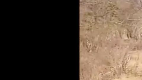 VIDEO: Familia Michoacana fusila a 2 del CJNG con el rifle más mortífero del mundo