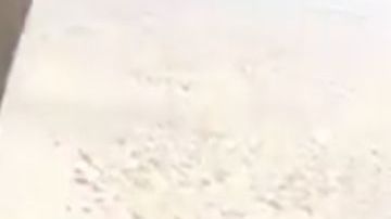 VIDEO: Narcos querían tirar helicóptero pero neutralizan a 4 solo unas millas de frontera con EEUU