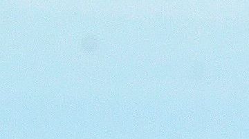 Cuatro parques de San Francisco han sido equipados con círculos blancos para recordar la distancia social.