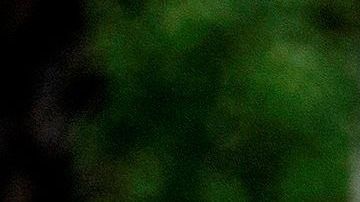 La jueza apunta que las condiciones de detención violan derechos.