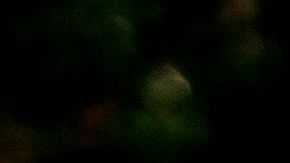 Varias personas dejaron ofrendas en el punto donde murió Ahmaud Arbery.