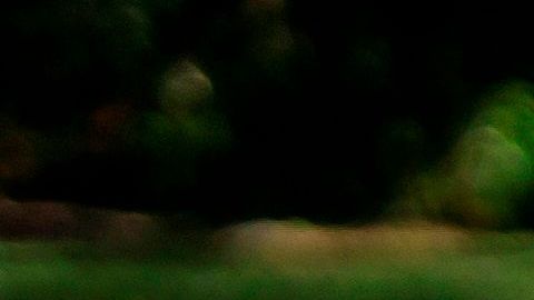 Varias personas dejaron ofrendas en el punto donde murió Ahmaud Arbery.