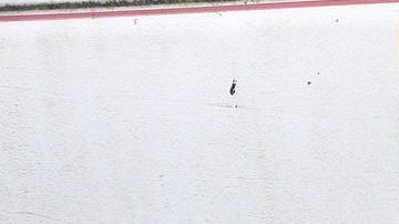 El proceso de quitar el óxido de tu auto puede llevar de 3 a 4 horas aproximadamente.