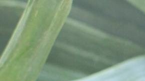 La mujer quería que llorara mucho por su ruptura.