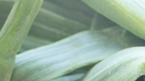 La mujer quería que llorara mucho por su ruptura.