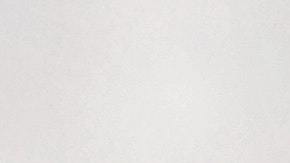 El curioso arácnido fue descubierto en 2017.