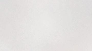 El curioso arácnido fue descubierto en 2017.