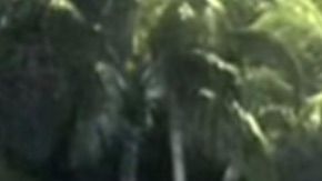 Imagen del video en el que se pudieron captar los hechos.