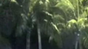 Imagen del video en el que se pudieron captar los hechos.