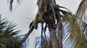 Vista exterior del Aventura Learning Center, la escuela que quiere reabrir en Miami.