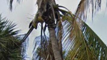 Vista exterior del Aventura Learning Center, la escuela que quiere reabrir en Miami.