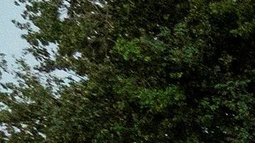 Los 100 "cuerpos" de la protesta simbolizan los 100,000 muertos en EE.UU.