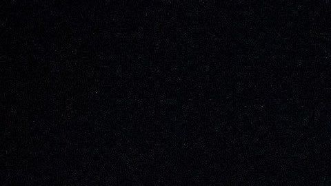 Trump lo acusaría de ser testaferro del "estabishment en Washington DC".