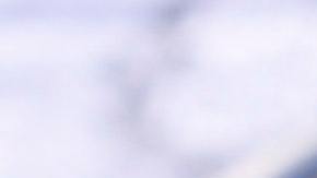 Tarta de frutos rojos.