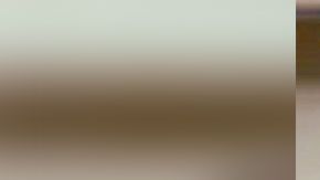 Bill Gates suele leer grandes cantidades de libros desde la infancia.