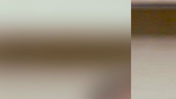 Bill Gates suele leer grandes cantidades de libros desde la infancia.