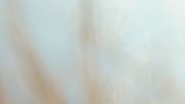 brocheta-nikitozawr-Pixabay