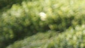 Aprende a relajarte con la respiración.