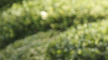 Aprende a relajarte con la respiración.
