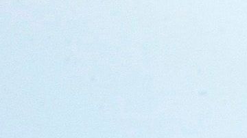 Hollywood Bowl cancels 2020 season amid coronavirus crisis in Los Angeles