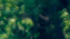 Trump en un carrito de golf.