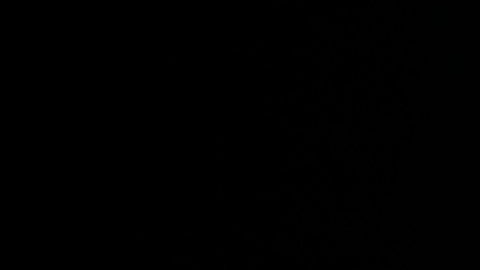 Canelo Alvarez adolescente