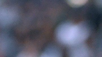 Liga MX es la mejor de Concacaf.